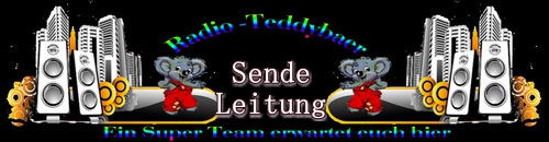Sendeleitung